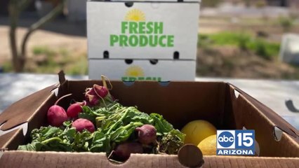 Project Roots: Community garden grows food to help with food insecurities