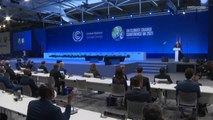 COP 26: Über 100 Staaten wollen Entwaldung stoppen