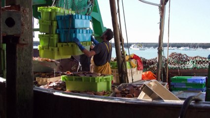 Fra Londra e Parigi è guerra del pesce