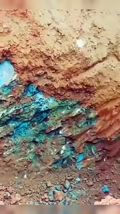 Momen Lucu, Unik tapi juga Aneh yang terekam kamera