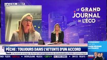 Stéphanie Yon-Courtin (Députée européenne Renaissance) : Pêche, toujours dans l'attente d'un accord - 02/11