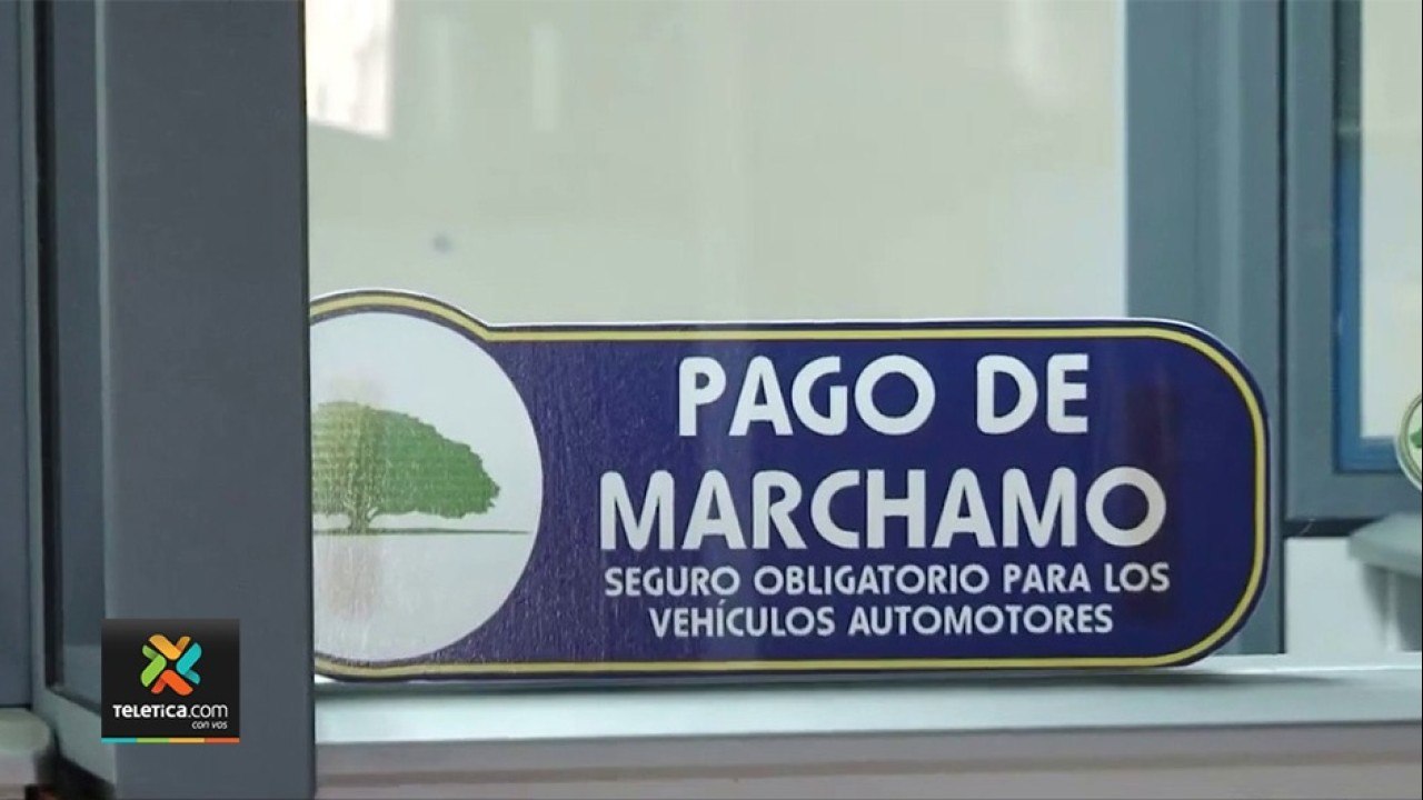 tn7-como-consultar-valor-fiscal-de-vehiculo-021121