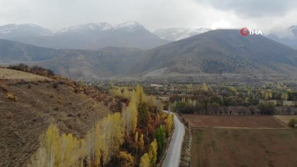 Sonbahardan kışa geçişte renk cümbüşü oluşturan ağaçlar göz alıcı güzelliğe büründü