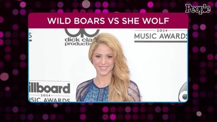 Shakira Recalls 'Crazy' Encounter with Wild Boars: 'People Were Just Watching'