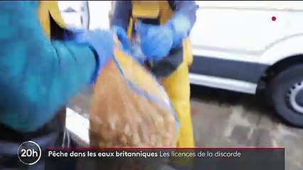 Licences de pêche : une situation critique pour les pêcheurs dépourvus d'autorisations
