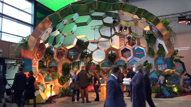 Russie, Chine et Brésil : les grands absents de la COP26