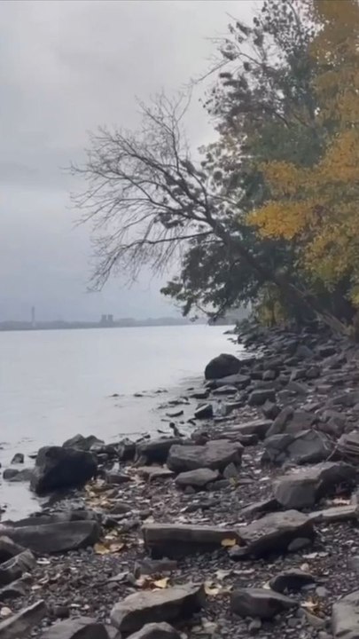 Montreal Is Getting Another New Beach