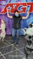 Cette Québécoise a amené ses chiens acrobates sur America's Got Talent