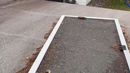 Graupel signals the beginnings of cold weather in Pennsylvania