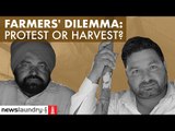 Singhu: Farmers on how they will harvest their crops
