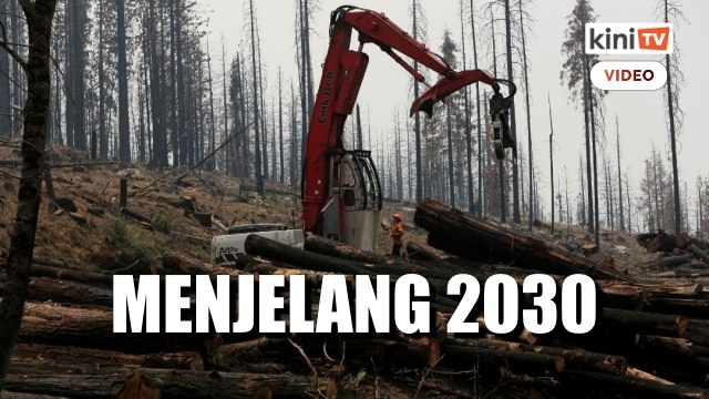 Pemimpin dunia janji tamatkan penebangan hutan menjelang 2030