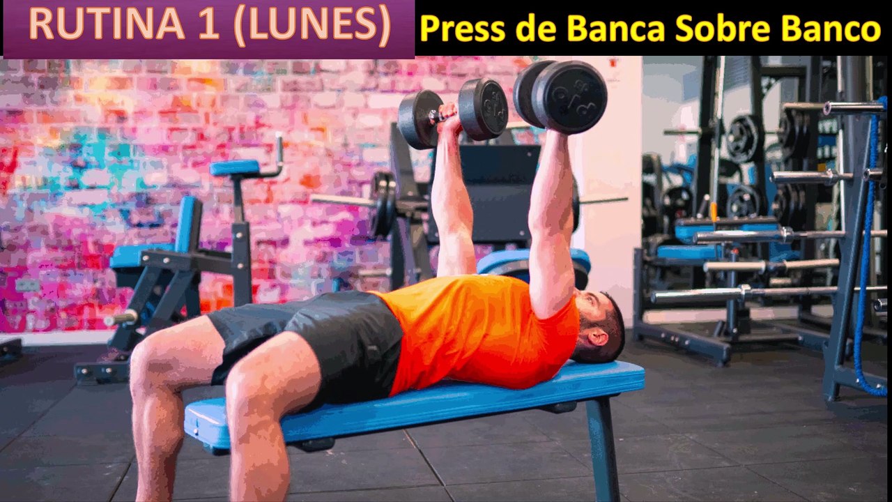 Ejercicios con Mancuerna Rutina 1