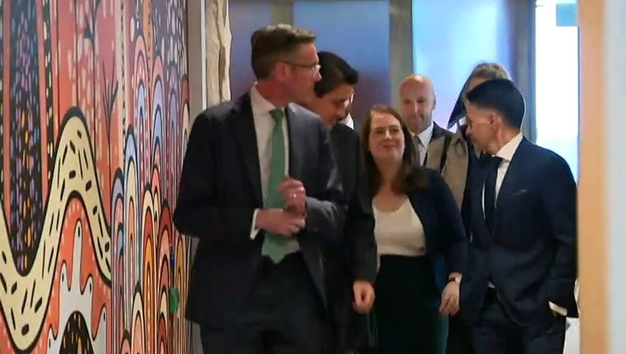 NSW orders probe into taxpayer-funded project procedures