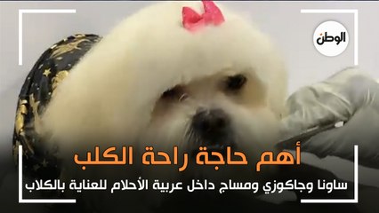 أهم حاجة راحة الكلب .. ساونا وجاكوزي ومساج داخل عربية الأحلام للعناية بالكلاب