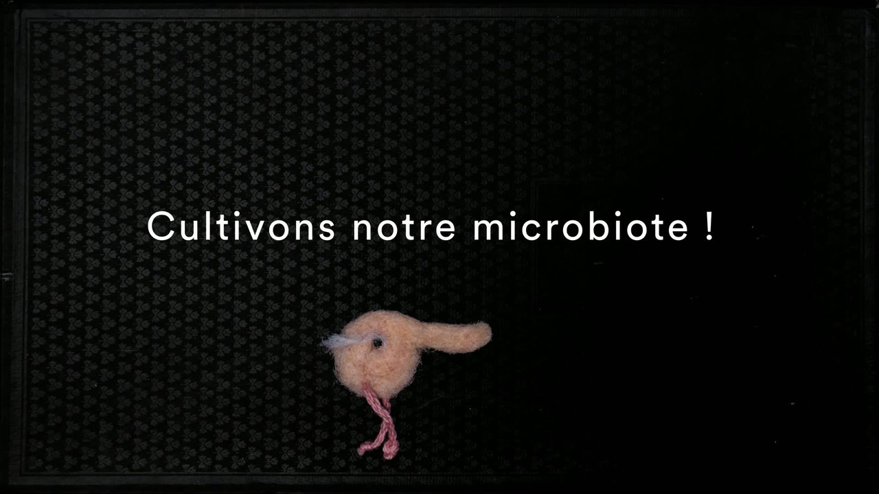 Cultivons notre microbiote !