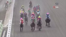 Japonya'daki yarış atı ismiyle spikere zor anlar yaşattı