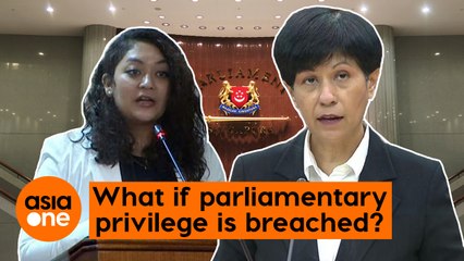 TLDR: What happens when parliamentary privilege is breached?