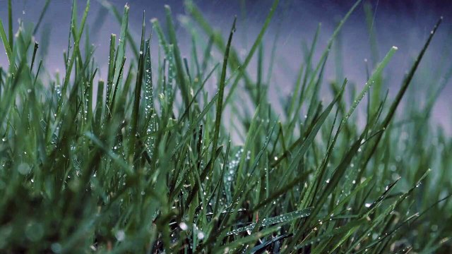 Rain cinematic video _ Rain WhatsApp status _heavy rain in village Rainy weather whatsapp status, water drops, rain mood , Beautiful view status, fresh mood status❤