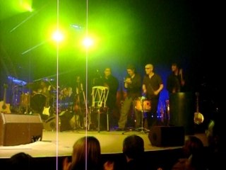 concert lavilliers le bal