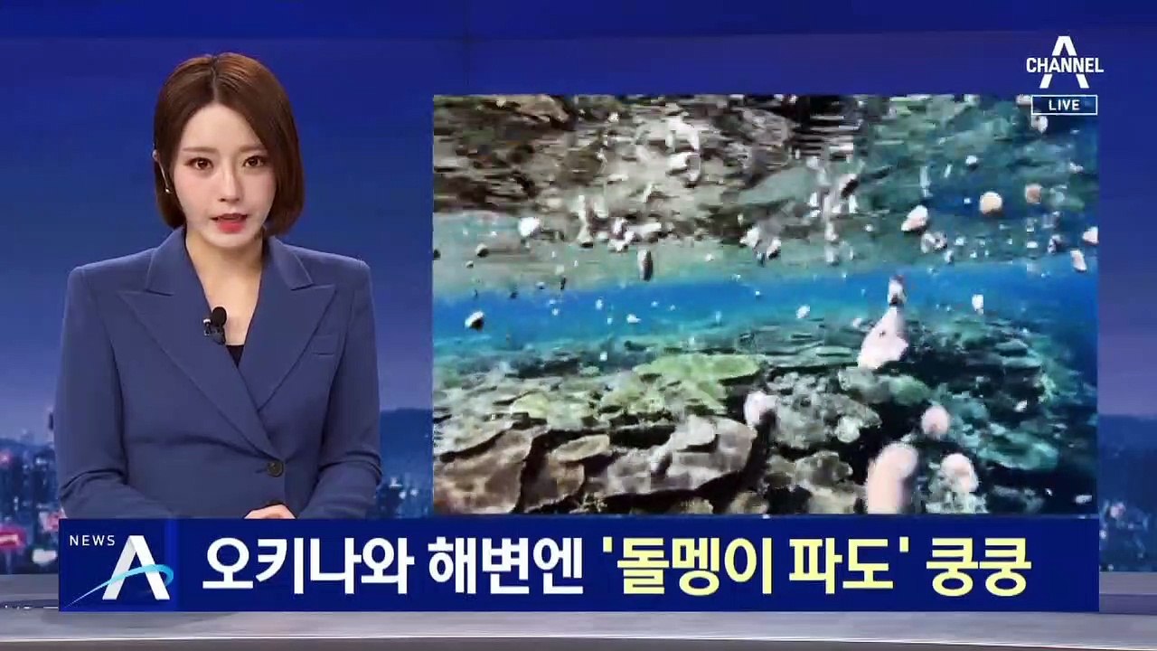 日 오키나와 해변에 회색 ‘돌멩이 파도’ 쿵쿵