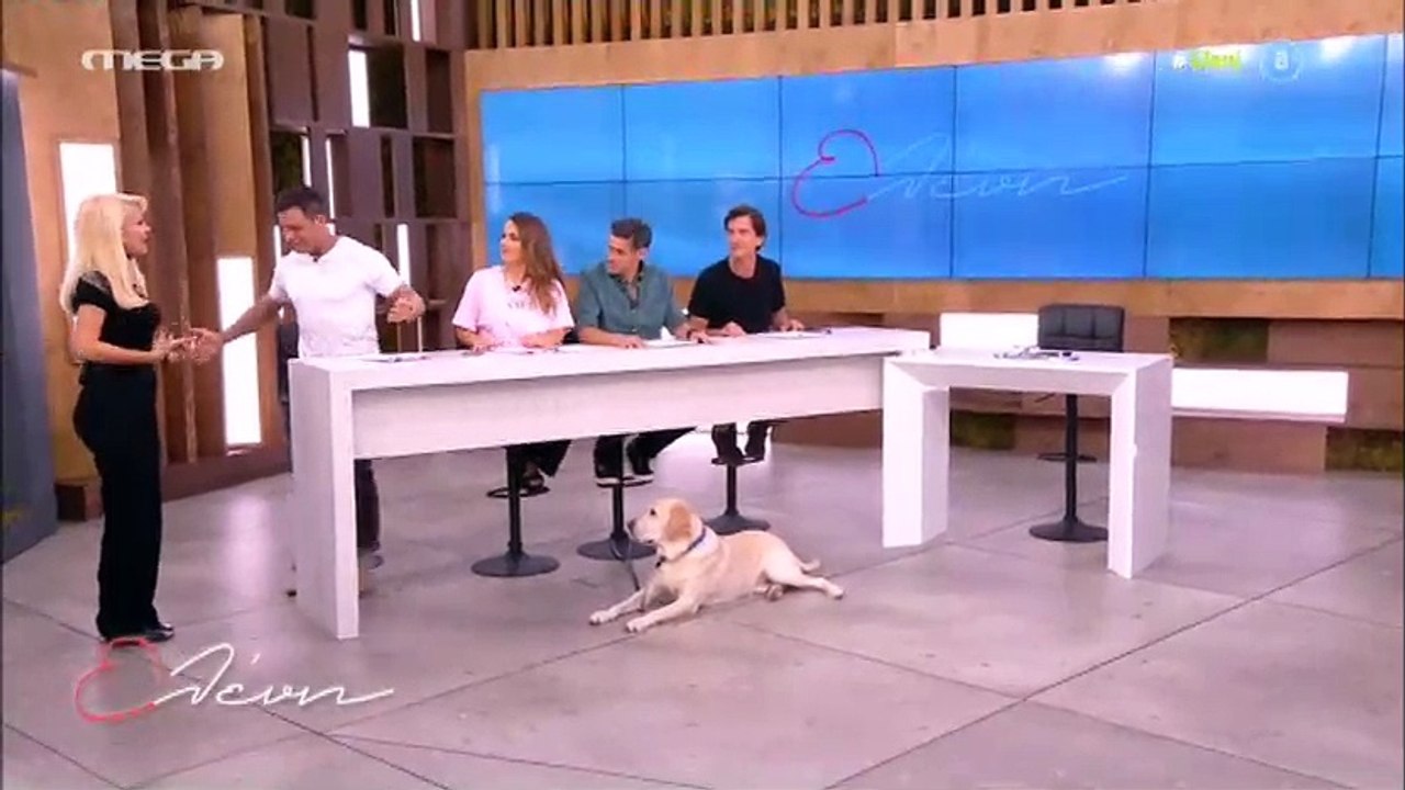 Ελένη Μενεγάκη: «Τα έχασε»  on air με την επική...