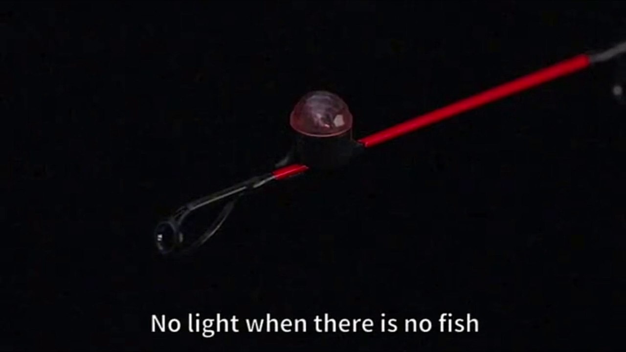 [Top 10] Fishing Equipment -  Aliexpress 2021
