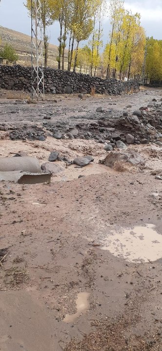 Son dakika... Erciş'te yağmur selen neden oldu; ev ve ahırları su bastı, tarım arazileri zarar gördü