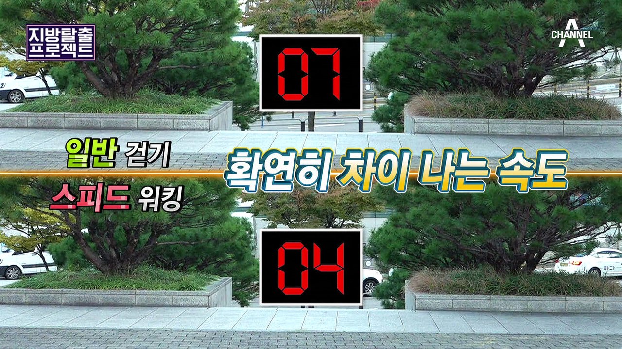 [지방탈출] ‘걷기’로 20kg 감량!?(´艸｀) 걸으면서 다이어트+노화·치매 예방까...