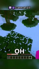 Minecraft, But Upside Down