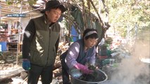 [자연 밥상] 산에서 즐기는 바다의 맛! 편백나무 향을 머금은 자연인 표 '모자반국'
