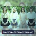 At COP26, BLACKPINK urges world leaders to 'take climate action in your area'