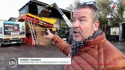 Énergies : la ruée sur le chauffage au bois