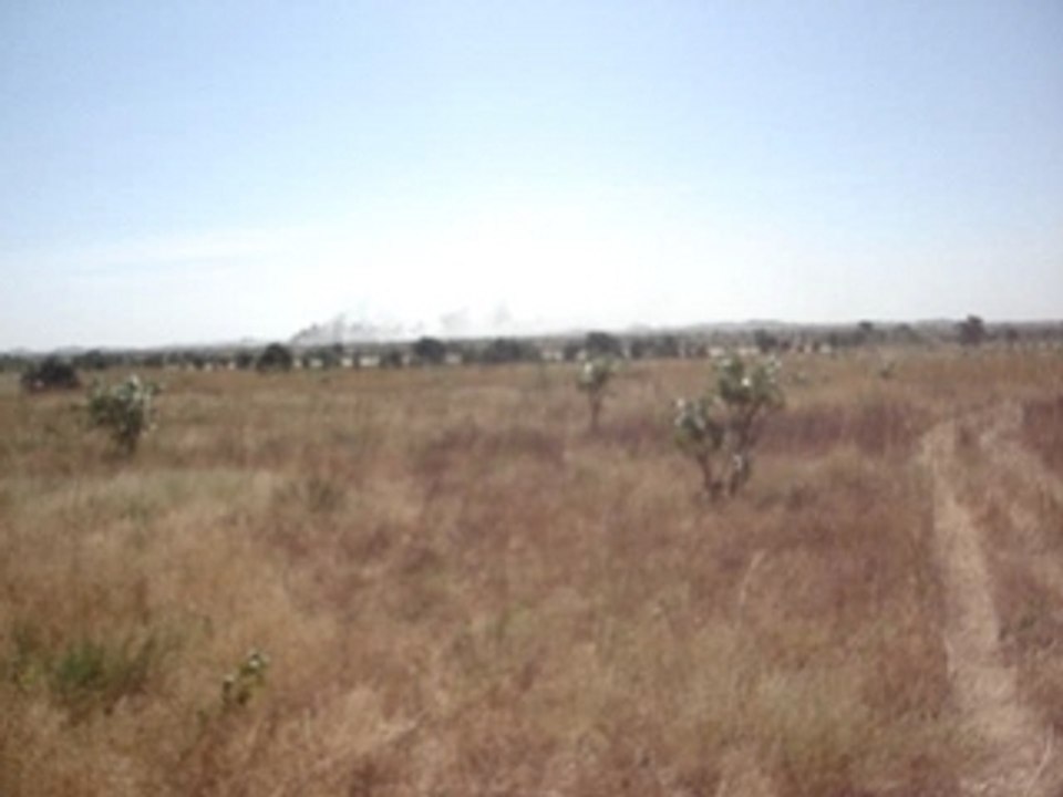 les jeunes resistants tchadiens en action