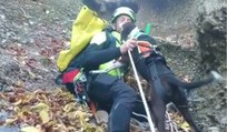Villa Santina (UD) - Soccorso cane scivolato in canalone sul Monte Lovinzola (03.11.21)