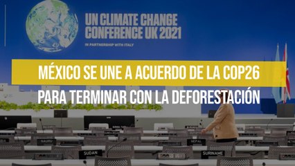 México se une a acuerdo de la COP26 para terminar con la deforestación