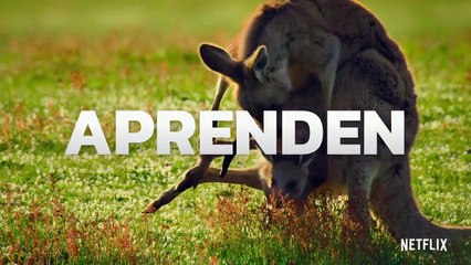 Animal - Tráiler oficial Netflix