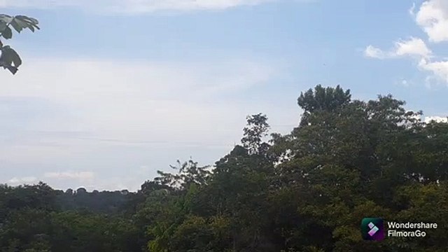 Airbus A320 PT-MYA vindo de Guarulhos e Boeing 737-400 PR-AJZ vindo de Campinas para Manaus