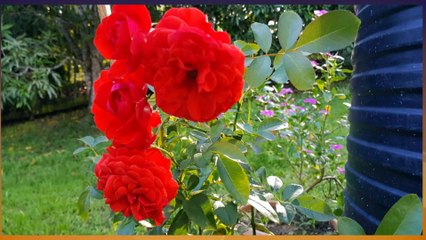 01: Morning News Brief: 17 August, 2021