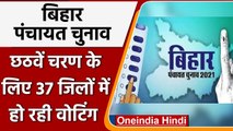 Bihar Panchayat Chunav 2021: छठे चरण की Voting शुरु, 37 जिलों में हो रही वोटिंग | वनइंडिया हिंदी