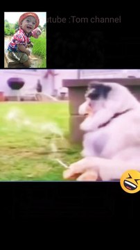 Cô ta đá tui rồi