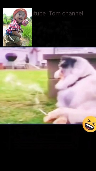 Cô ta đá tui rồi
