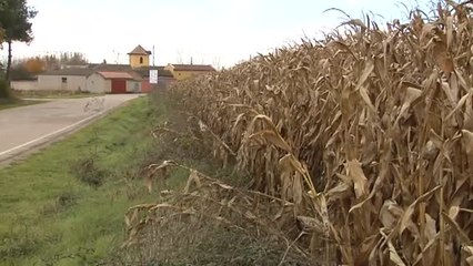 "Está usted entrando en un pueblo español": el cartel de Moslares de la Vega que avisa a los turistas