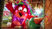 La fête d'anniversaire | Angry Birds: Le film | Extrait VF