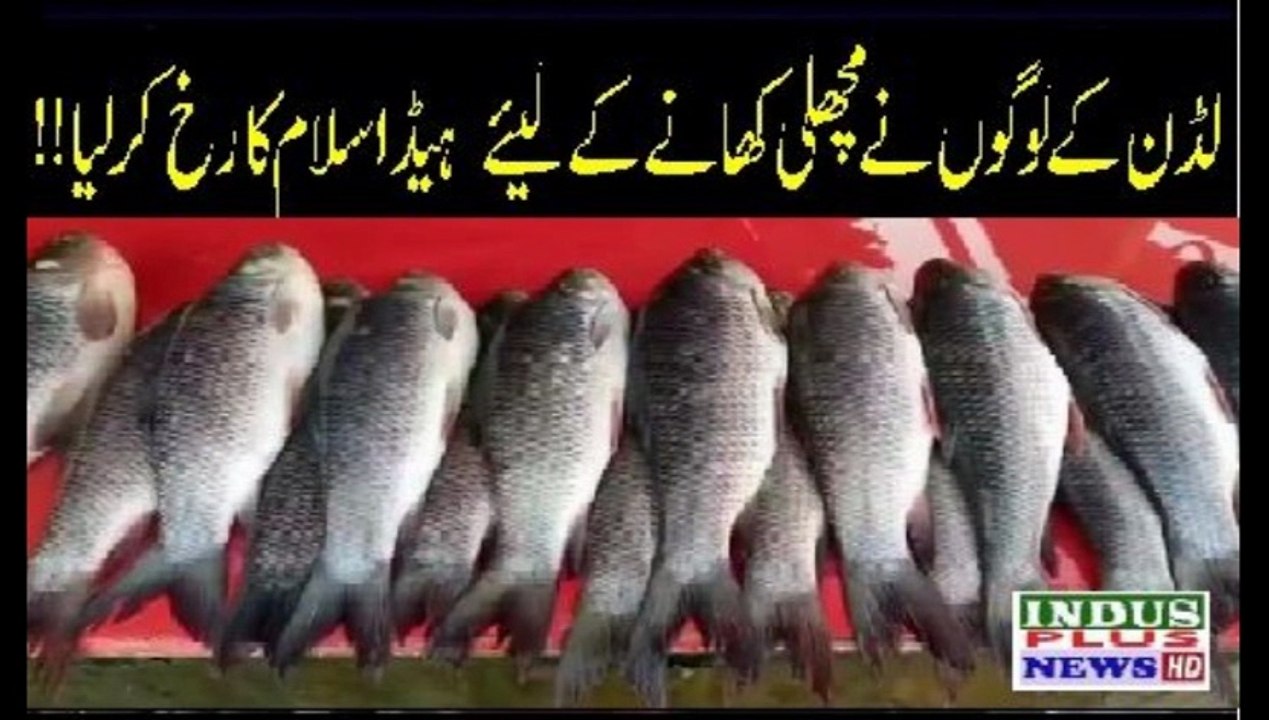 Ludan kaay logoin naay Head Islam ka Rukh ker lia | Indus Plus News Tv