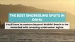 The Best Snorkeling Spots in Oahu