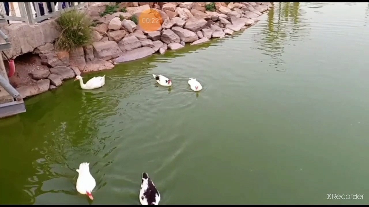 نقي قلبك واسمع لكل لون درجة حرارة