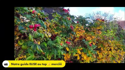 Mecredi 3novembre dagny st gueroch avec notre maître de rando ELISE merciiii