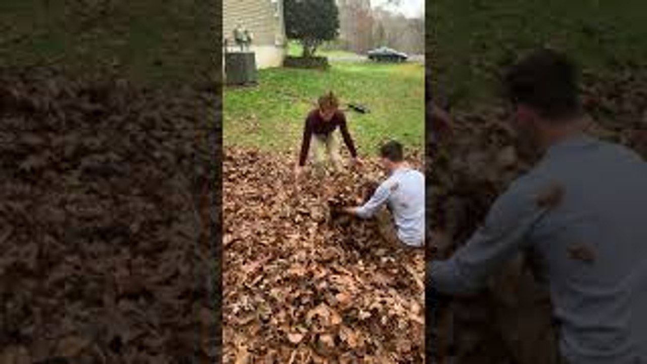 Happy Bulldog Loves Playing in Leaf Pile