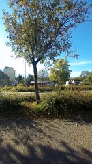 Grenoble Novembre 2021 #France #Isère #grenoble #grenoblecity #grenobletourisme #grenoblealpesmetropole #grenoblelife #francetourisme (109)