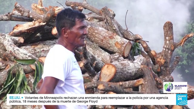 Proteger los manglares de Panamá es clave para mitigar el cambio climático